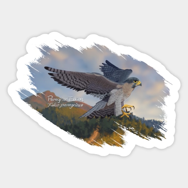 AnemalSoul - Peregrine Falcon Sticker by AnemalSoul